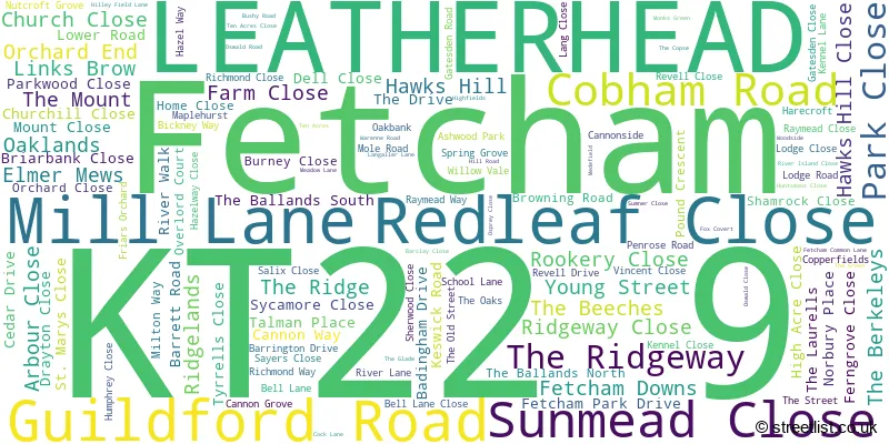 A word cloud for the KT22 9 postcode